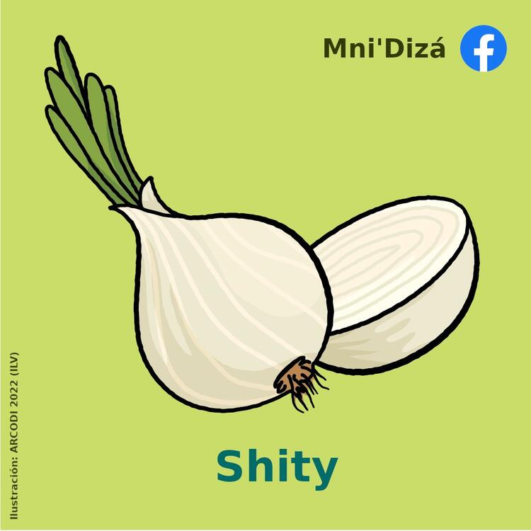 shity shity