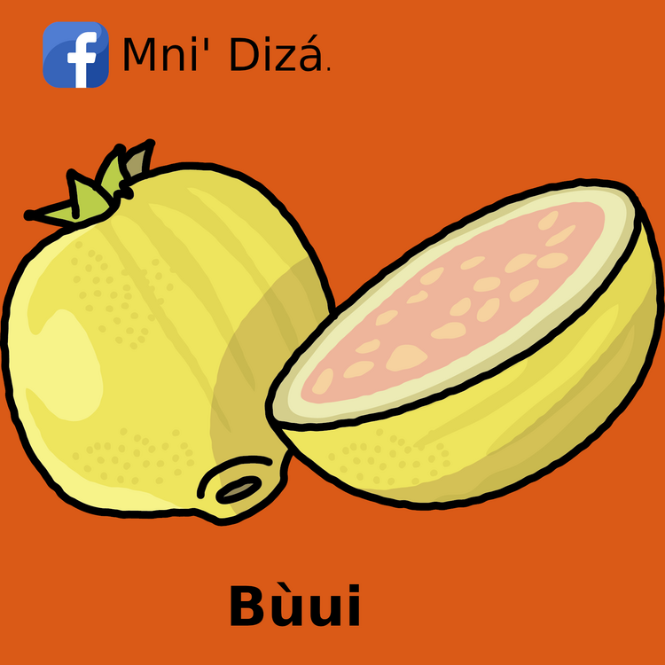 búui búui
